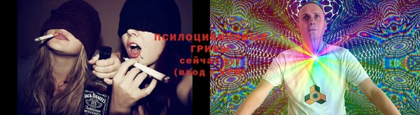 COCAINE Няндома